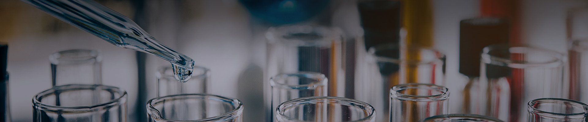 目前真实庄闲游戏下载手机版登录具有C
